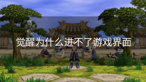 觉醒为什么进不了游戏界面