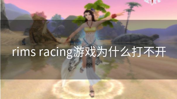 rims racing游戏为什么打不开