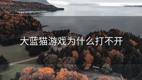 大蓝猫游戏为什么打不开