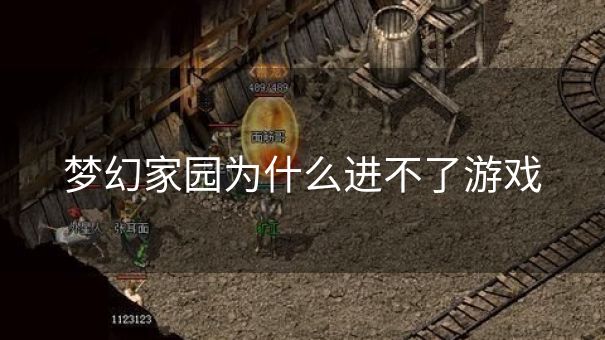梦幻家园为什么进不了游戏 梦幻家园为什么进不了游戏