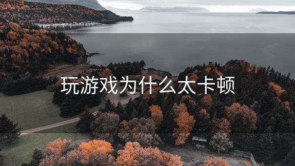 玩游戏为什么太卡顿