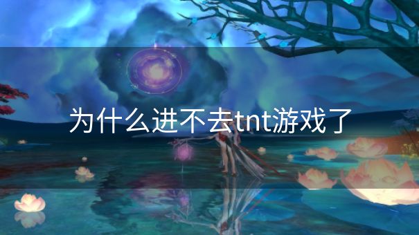为什么进不去tnt游戏了