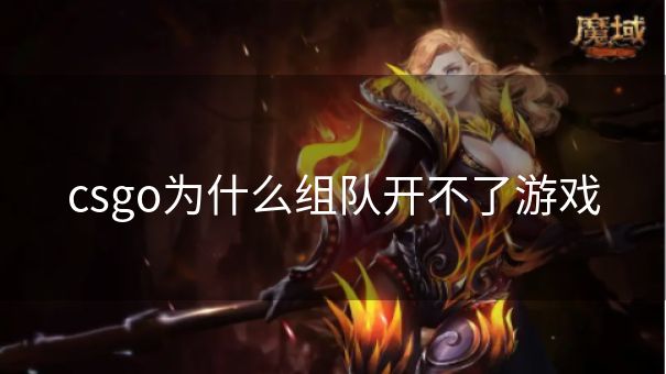 csgo为什么组队开不了游戏
