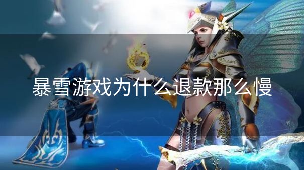 暴雪游戏为什么退款那么慢