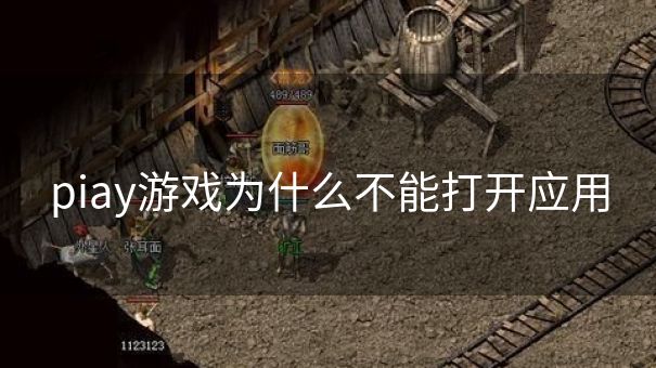 piay游戏为什么不能打开应用