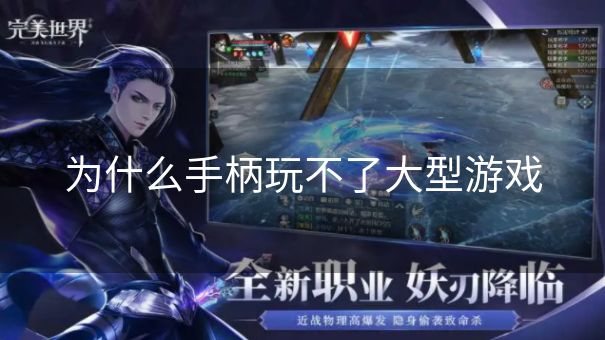 为什么手柄玩不了大型游戏