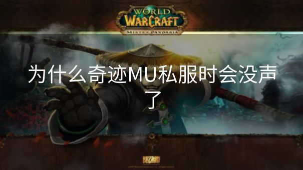为什么奇迹MU私服时会没声了