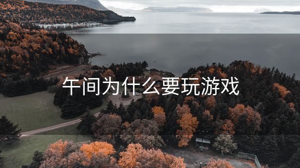午间为什么要玩游戏