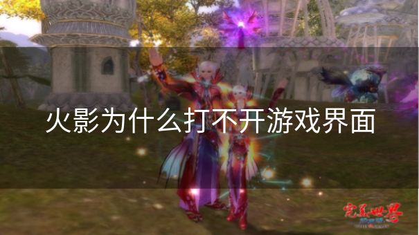 火影为什么打不开游戏界面