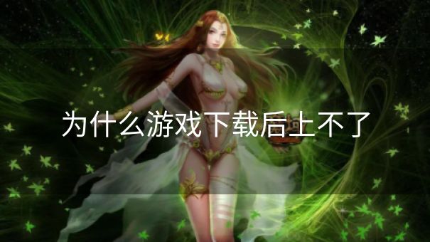 为什么游戏下载后上不了