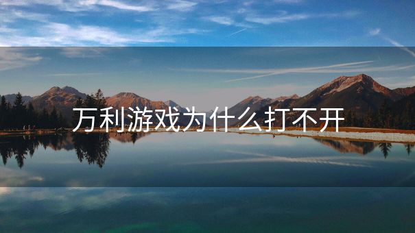 万利游戏为什么打不开