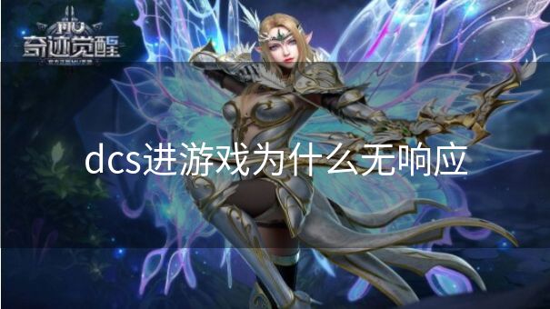 dcs进游戏为什么无响应