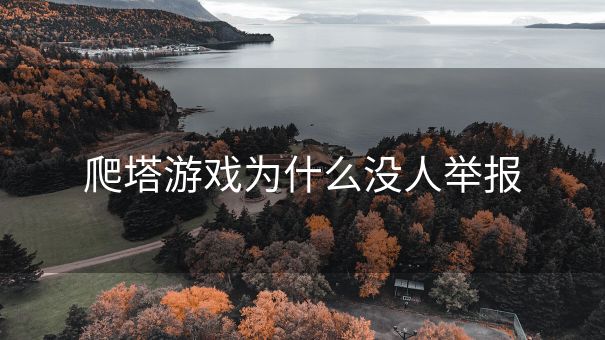 爬塔游戏为什么没人举报