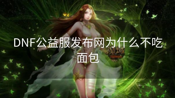 DNF公益服发布网为什么不吃面包