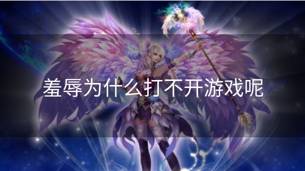 羞辱为什么打不开游戏呢