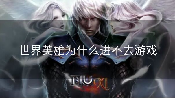 世界英雄为什么进不去游戏