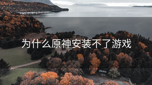 为什么原神安装不了游戏