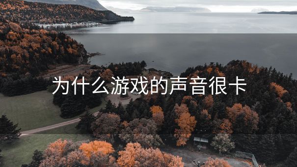 为什么游戏的声音很卡