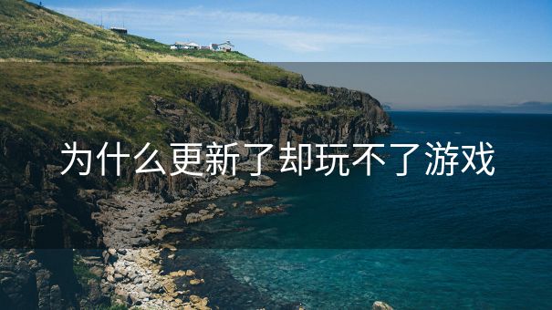 为什么更新了却玩不了游戏