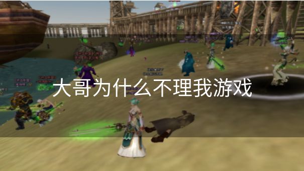 大哥为什么不理我游戏