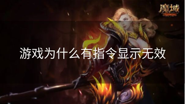 游戏为什么有指令显示无效