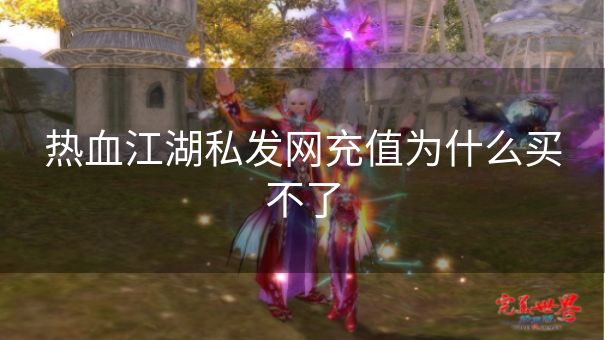 热血江湖私发网充值为什么买不了