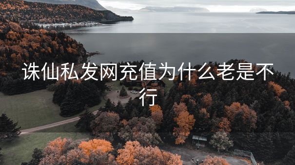 诛仙私发网充值为什么老是不行