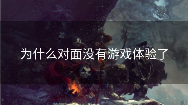 为什么对面没有游戏体验了