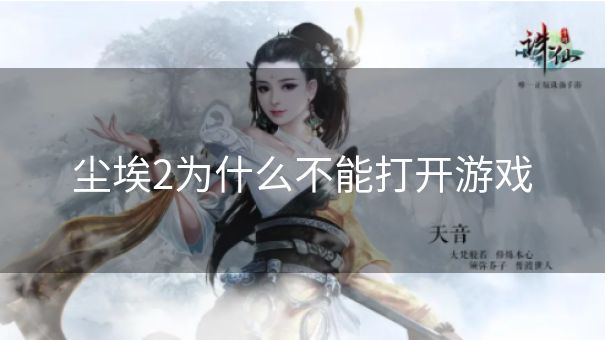 尘埃2为什么不能打开游戏