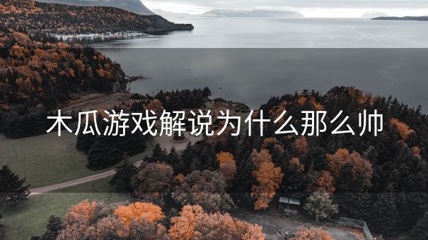 木瓜游戏解说为什么那么帅