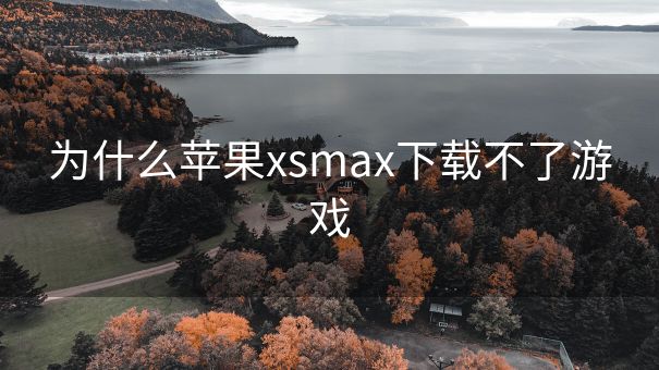 为什么苹果xsmax下载不了游戏