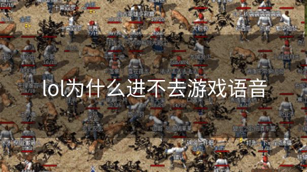lol为什么进不去游戏语音