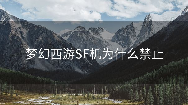 梦幻西游SF机为什么禁止