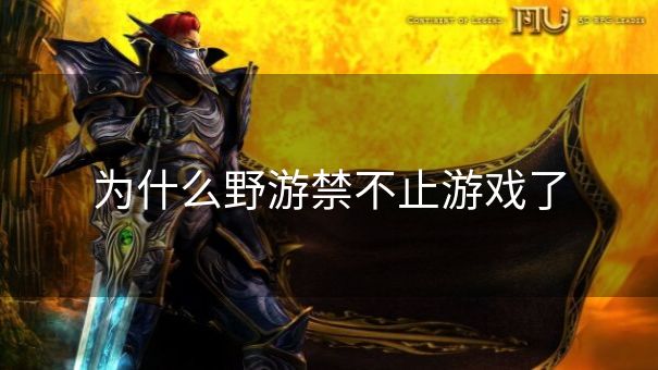为什么野游禁不止游戏了