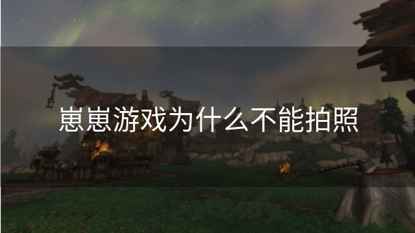 崽崽游戏为什么不能拍照