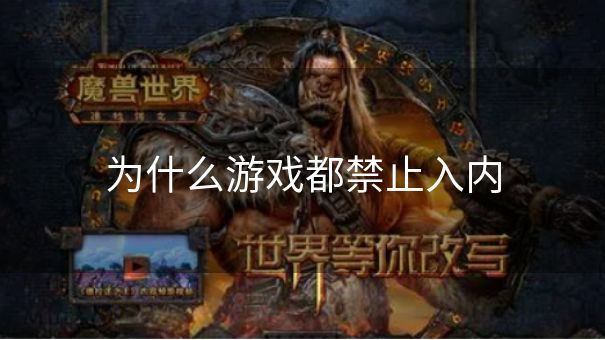 为什么游戏都禁止入内