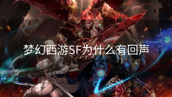 梦幻西游SF为什么有回声