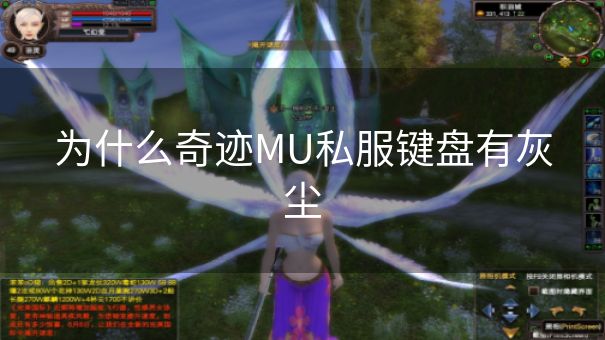 为什么奇迹MU私服键盘有灰尘