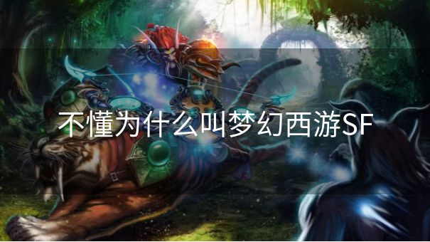 不懂为什么叫梦幻西游SF 不懂为什么叫梦幻西游SF