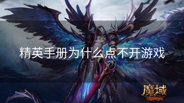 精英手册为什么点不开游戏
