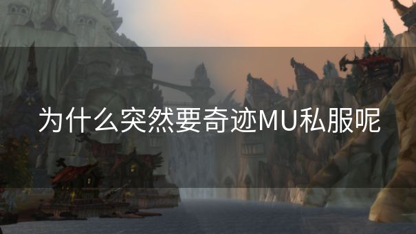 为什么突然要奇迹MU私服呢