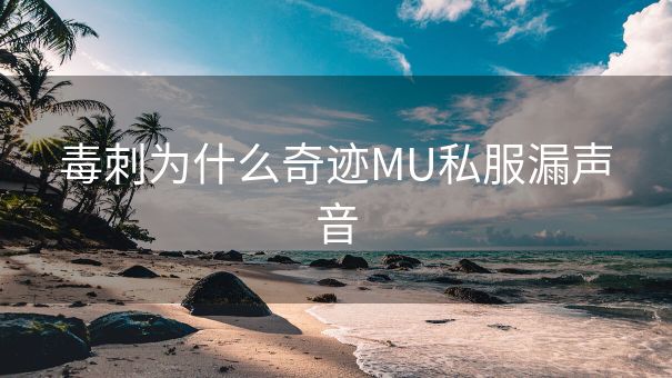毒刺为什么奇迹MU私服漏声音