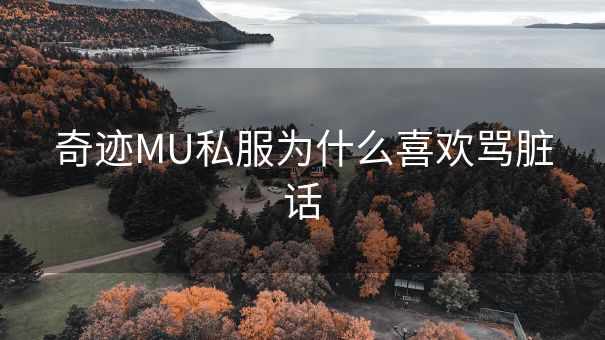 奇迹MU私服为什么喜欢骂脏话
