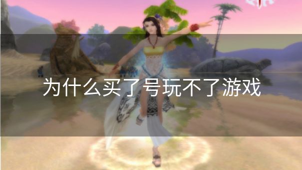 为什么买了号玩不了游戏