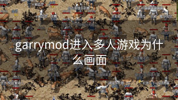 garrymod进入多人游戏为什么画面