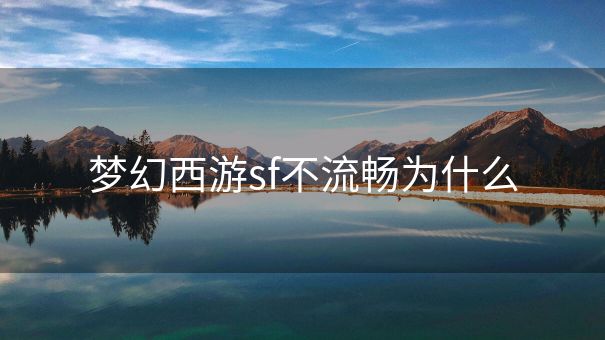 梦幻西游sf不流畅为什么