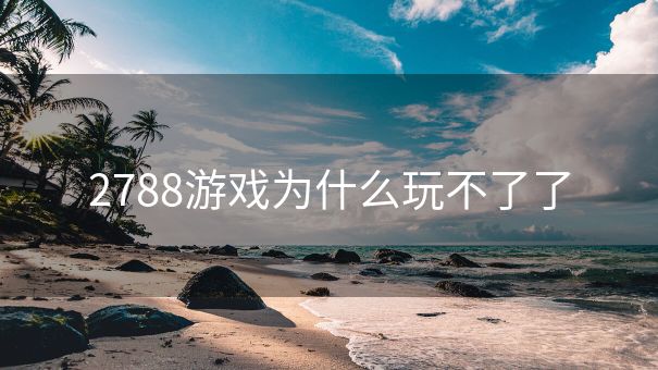2788游戏为什么玩不了了