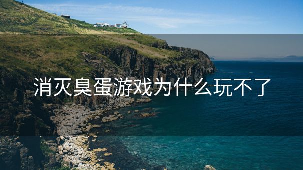 消灭臭蛋游戏为什么玩不了