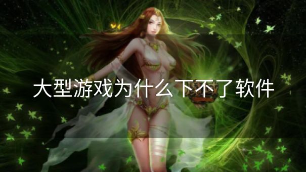 大型游戏为什么下不了软件