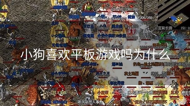 小狗喜欢平板游戏吗为什么